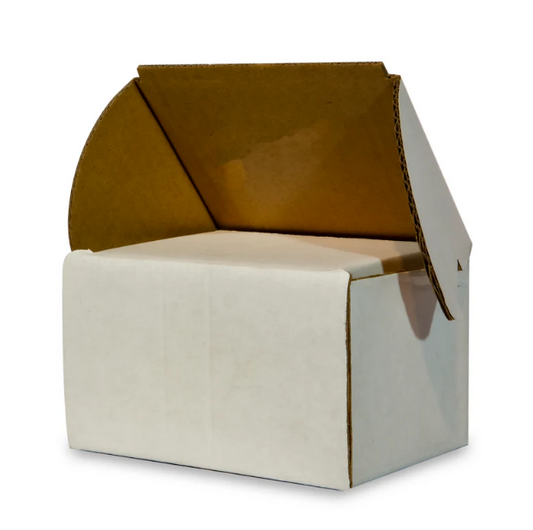 Smash Proof Mug Boxes - SPMB50